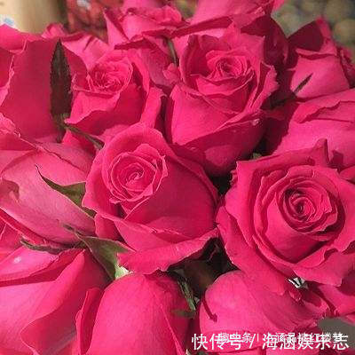 变异$红楼梦玫瑰花变异成四种特殊用品,每一种都让人遐想