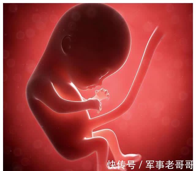 尿液|怀胎十月,胎儿的排泄物都去哪了?看完整个人都不好了