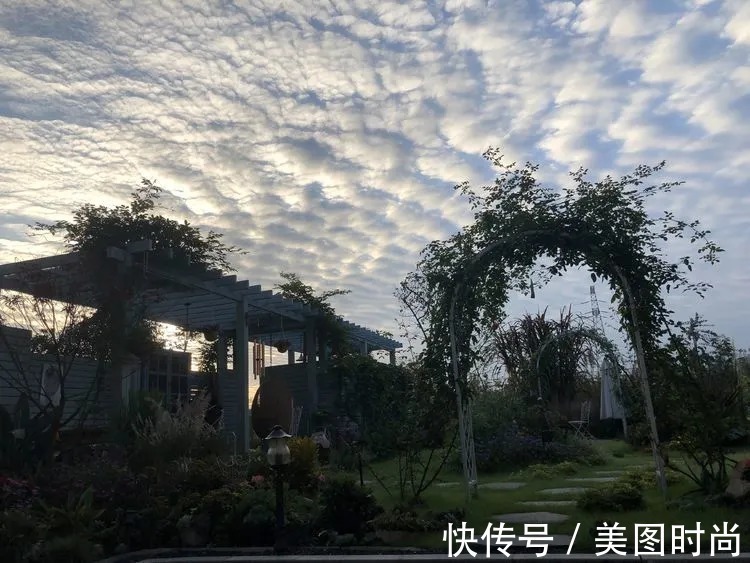 满园|2年前,买了一栋带院子的房子,在高楼喧嚣中建一个“梦幻花园”