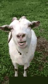 |搞笑趣图:有这样的媳妇,没法好好睡觉了