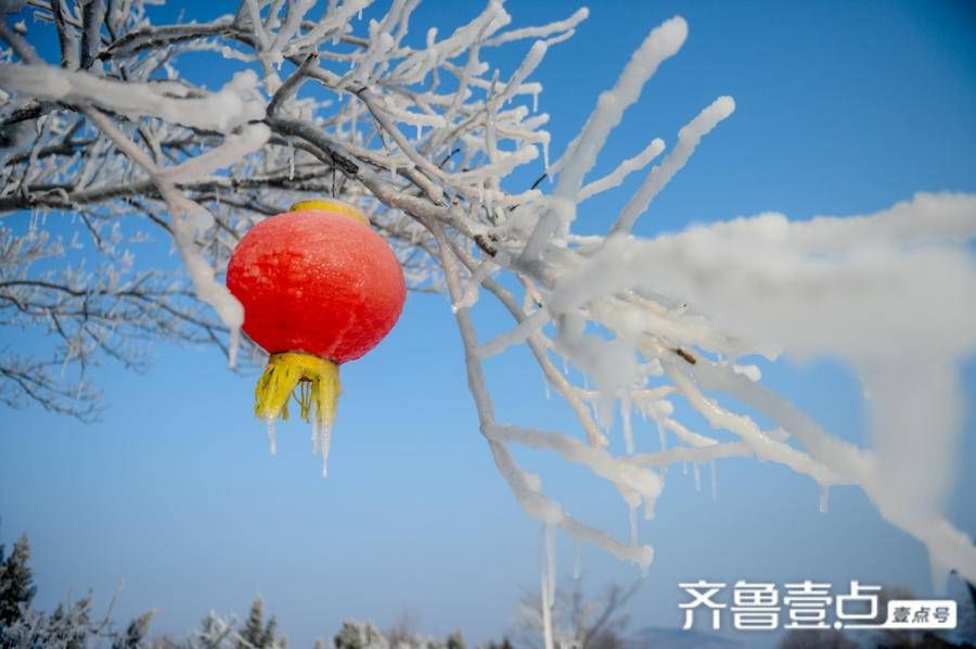 齐鲁雪乡|惊现“金钱豹”跑马岭·齐鲁雪乡成冬季网红打卡地