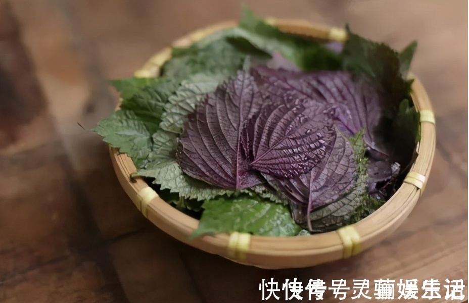 胰岛素|血糖高的人，身体有4个表现，若一个都没有，血糖还算稳定