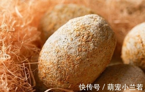 泥灰|买皮蛋时，看到这4种扭头就走的是聪明人，商贩也从不让家里人吃