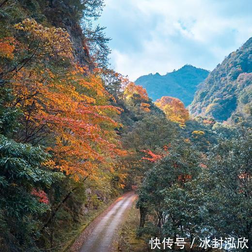 秘境|媲美光雾山！平武这条沟，藏着一个惊艳的彩林秘境！