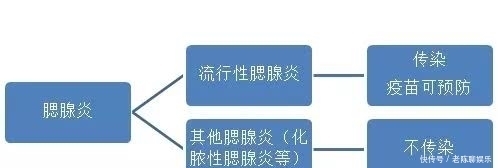 腮腺炎|打了疫苗还得腮腺炎?