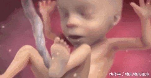 笑声|8个月准妈妈做产检,检查时大夫发出笑声,孕妈看我怎么收拾你