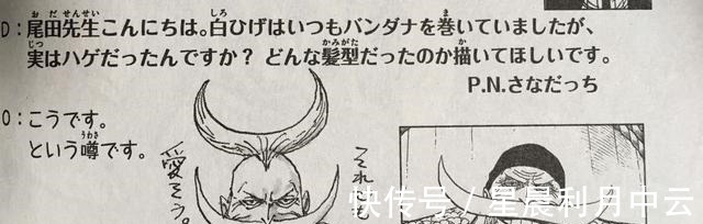 桃太郎|不为人知的5条海贼王人物设定,三大将带颜色的名字竟暗藏玄机