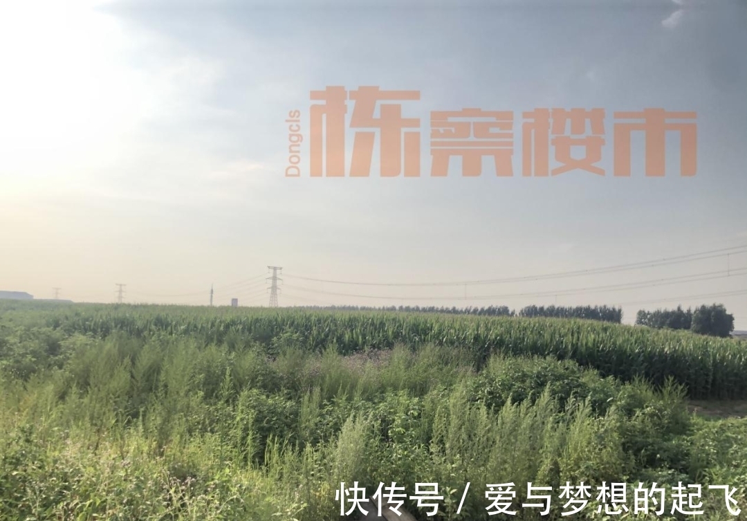 city|沈北吾悦开业在即 环蒲再出两块商住用地