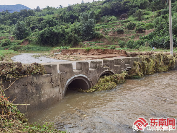 定格|霞浦防汛殉职村支书孙丽美：把生命定格在防汛路上