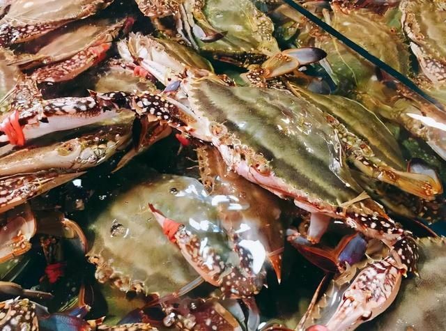 含“寄生虫”最多的3种海鲜,没营养还贵,老板自己从不吃