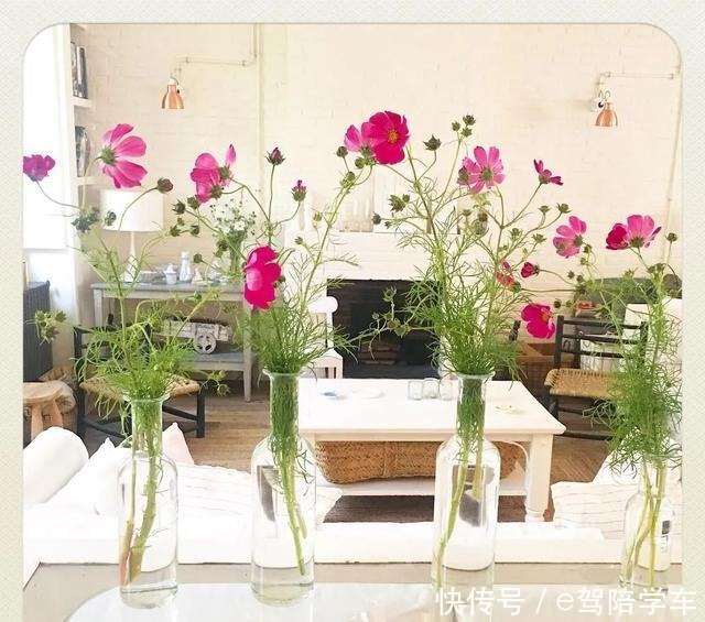 法国女人的美丽秘诀,从居家就开始了!