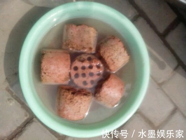 根粗叶绿|路边“捡”3种废弃物，开水烫一烫，养绿萝君子兰“根粗叶绿”