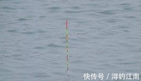 调钓|户外调钓,不是越灵越好!掌握这里面的一些诀窍,鱼儿好钓的不得了