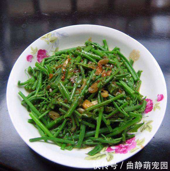 深秋|深秋最应该吃的一个菜,3块钱能买2把,脆嫩又营养,全家喜欢
