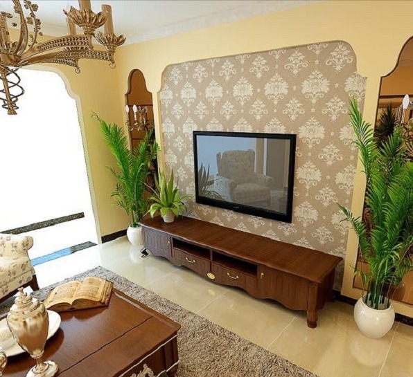 强光|6种植物摆放在客厅,不仅好看、寓意好,还可以“鼓舞”人心