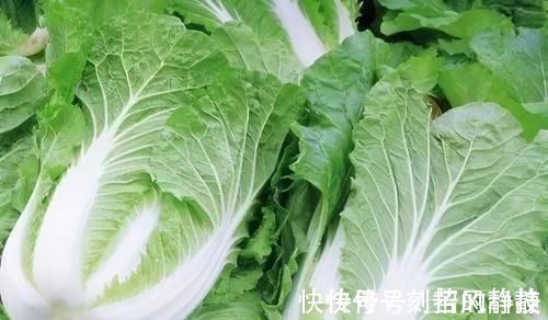 白菜|人到中年,不妨多吃3种食物,滋肝明目、推迟衰老,谁吃谁健康