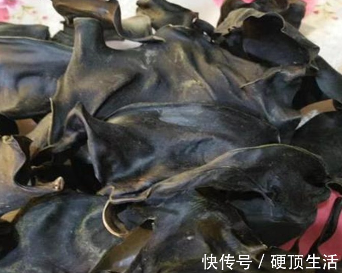 废物|三高“怕''你吃一物,化血栓,强心脏,很多人却当废物扔掉