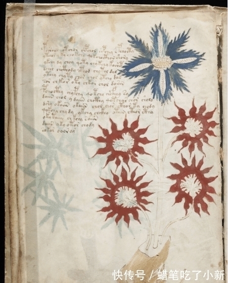 甲骨文!地球上最神秘的一本书, 没人能看懂, 2019年谁解密了, 谁就发财了