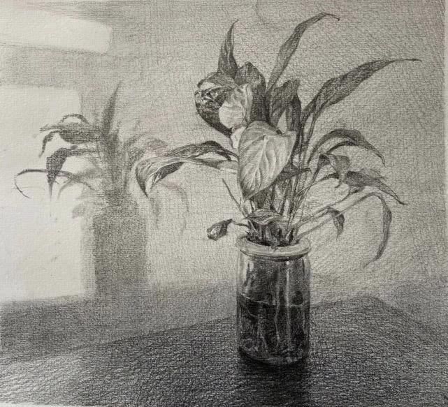 纸本炭笔|赏析中央美术学院2020届基础部素描作品欣赏