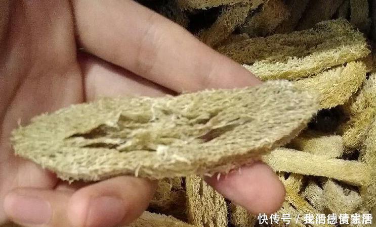 花盆里加点这个,不烂根不黄叶,轻松养满盆