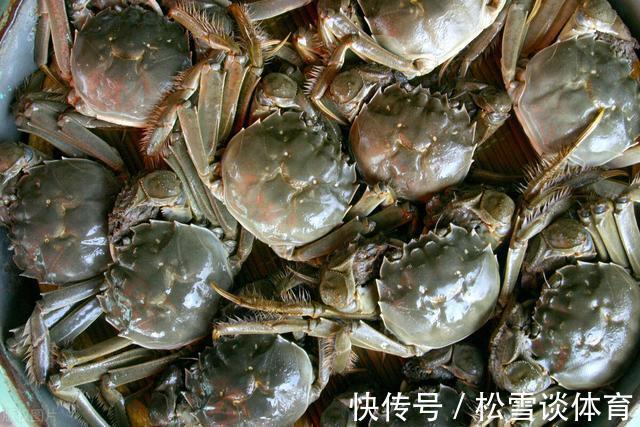 螃蟹|螃蟹买多吃不完，怎么保存？老蟹农教你3种方法，放5天依旧鲜活