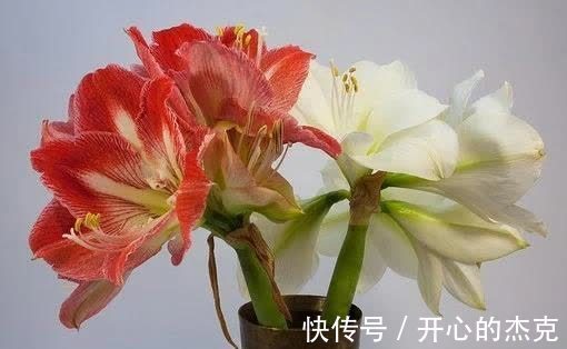 旧爱|六天后，月老送喜，相爱不易，旧爱归来，复合前任，不负深情