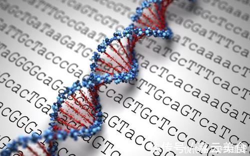 真相|天天喝牛奶就能长高吗?家长别被误导了,有些真相很“残酷”