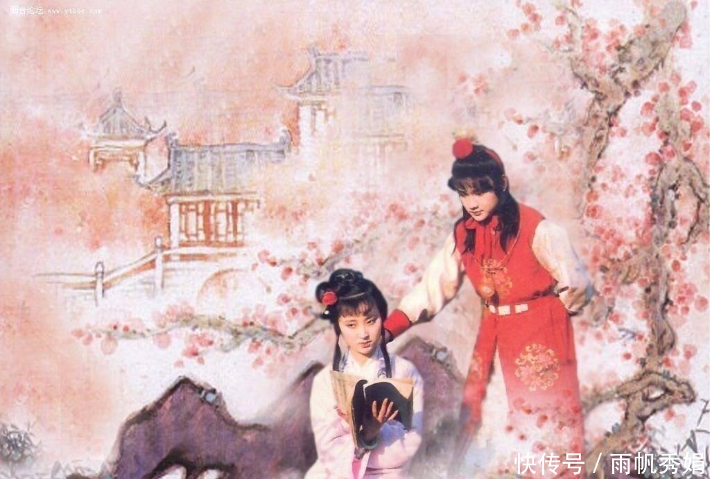 林黛玉|一次“掉包儿”,伤了许多人