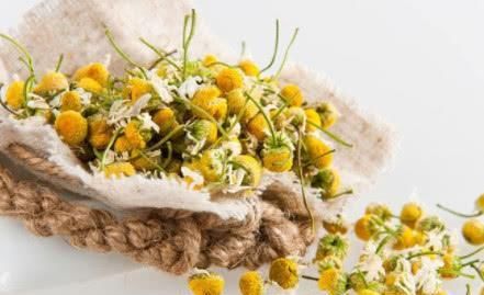  幽门螺杆菌的“杀手”找到了, 喝水时撒一把, 大小胃病都赶跑