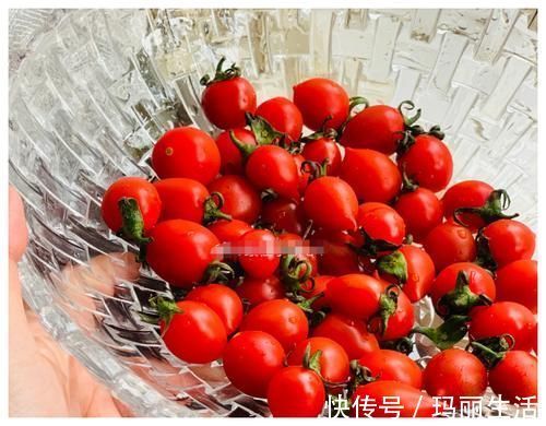 西红柿|想要减肥,吃西红柿还是圣女果,没吃对,可能体重迟迟不下百