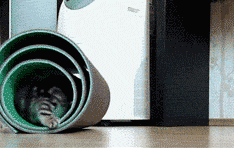 |搞笑动图:这是个什么怪东西,接我一掌!