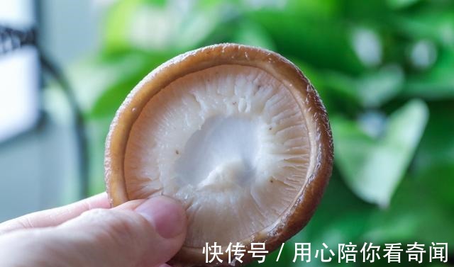 小虫子|香菇直接用清水洗是大错,学会这个小妙招,脏东西小虫子乖乖溜走