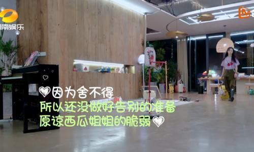 提前|郑爽录节目再度提前走人,救场方式却意外成亮点,情商高低藏不住