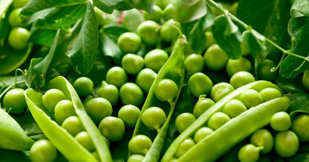  食物|胃病三分治七分养，3种养胃食物每天换着吃，远离胃病没烦恼！