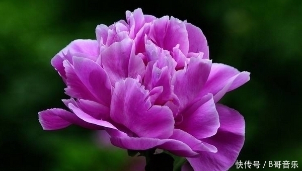 富翁命|人出生在农历4个月份,注定是“富翁命”,后半生将富的流油!