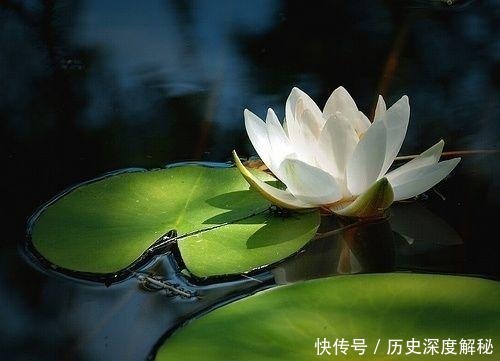 哲学是什么?为什么要研究哲学?哲学有什么用?