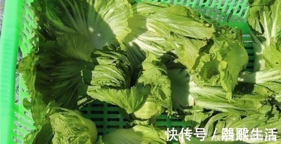腌泡菜|妈妈30年腌酸菜的秘方，5天就能吃，又香又脆口，放一年都不坏！