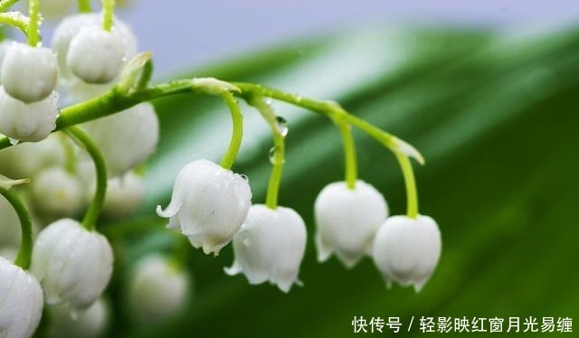 话说|做人,凡事要有度