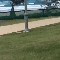 |搞笑GIF:好尴尬 气氛突然变得探戈起来