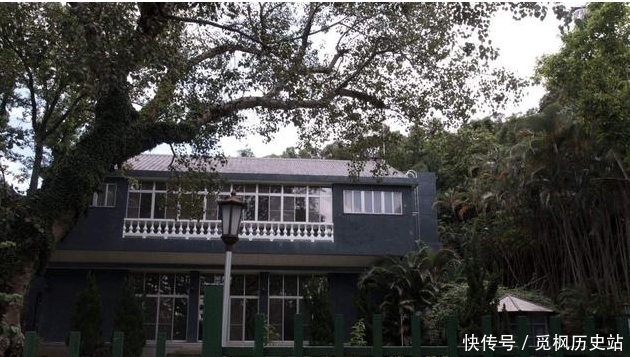 宋美龄最想毁掉的一张照片:口红抹到唇外,眉线画断,冷漠无笑脸