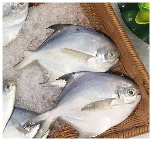 解冻冰鱼时,直接用水泡的鱼难吃,教你几招,鱼肉就像鲜鱼一样