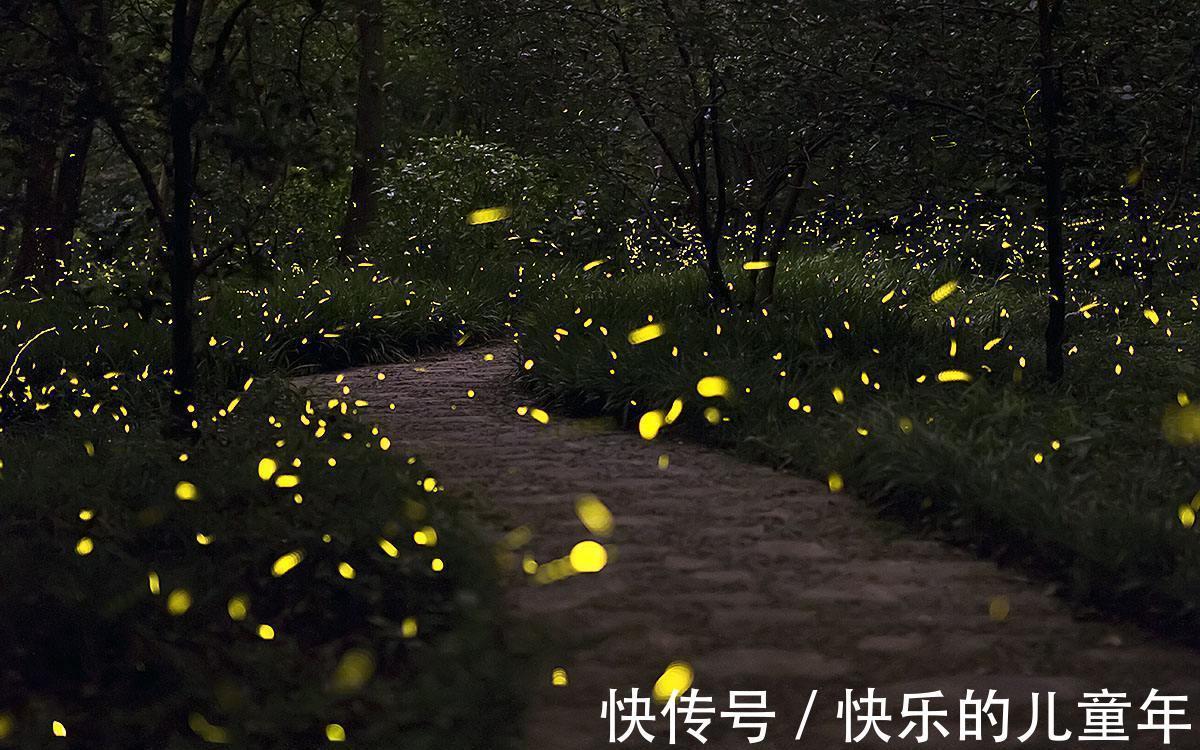 失眠|养好五脏调失眠:烦躁失眠养肝、腹胀难眠养脾