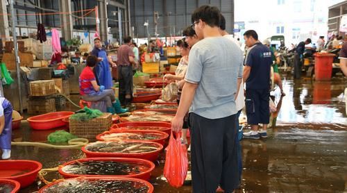  海鲜|5种常见海鲜的选购技巧，满满都是经验，学会再也不怕被坑了