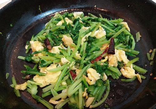 吃萝卜不如吃它，维C是萝卜的2倍多，化痰止咳助消化，2元1把