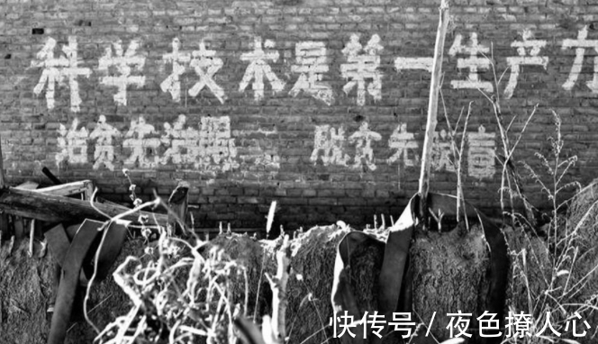 烧饼歌!古语:“白虎穿堂,家败人亡”,白虎指的是什么?科学还是迷信?