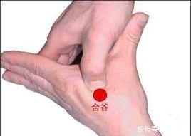 关元穴|人体有10个“超级穴位”,每个都是一味名贵中药,内附高清大图