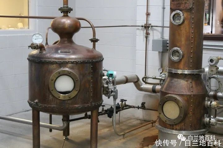 西方国家|一个从未喝过酒的人应该如何点酒