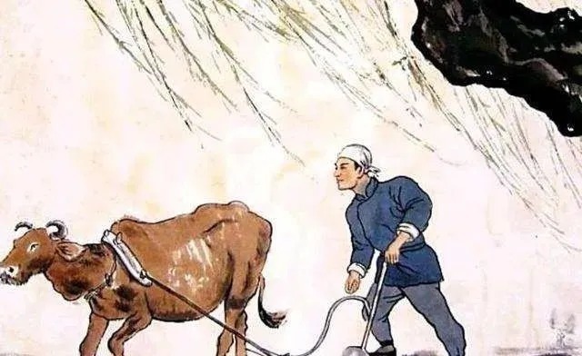 为啥|俗语“头鸡二狗、三猪四羊、五牛六马、七人八谷”,为啥这样说