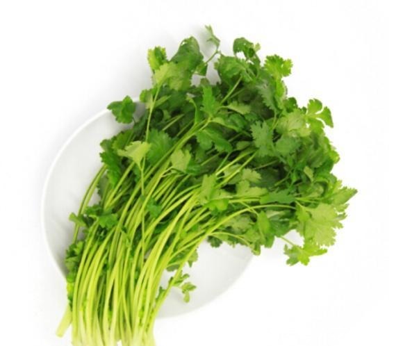 香菜|葱姜蒜,辣椒香菜,能否惹人爱
