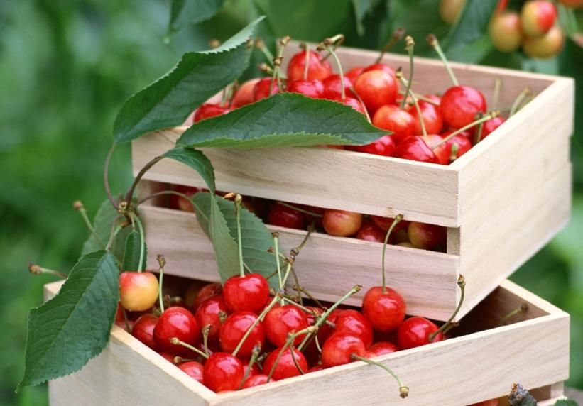 女性朋友若想皮肤好，不妨试试6种水果，让你也能“肤如凝脂“！